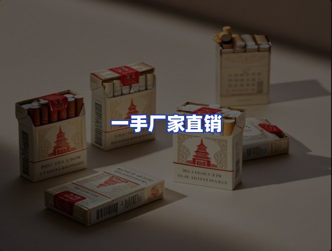 专业团队